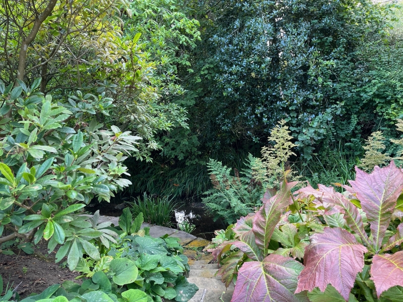 Nutbourne Village Gardens